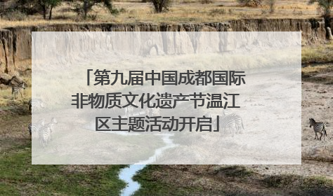 第九届中国成都国际非物质文化遗产节温江区主题活动开启