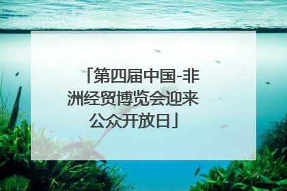 第四届中国-非洲经贸博览会迎来公众开放日