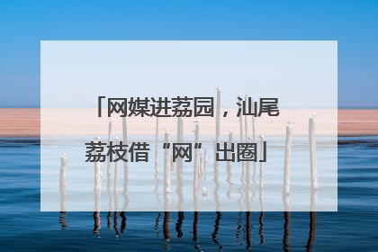 网媒进荔园，汕尾荔枝借“网”出圈
