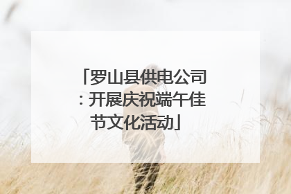 罗山县供电公司：开展庆祝端午佳节文化活动
