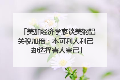 美加经济学家谈美钢铝关税加倍：本可利人利己 却选择害人害己