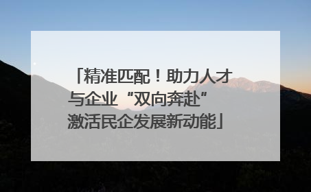 精准匹配！助力人才与企业“双向奔赴” 激活民企发展新动能