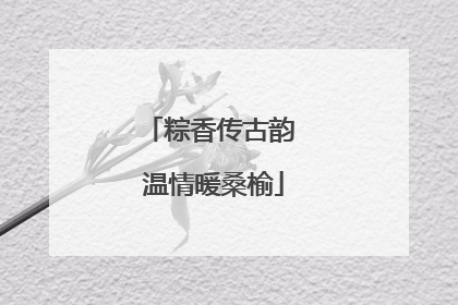 粽香传古韵 温情暖桑榆
