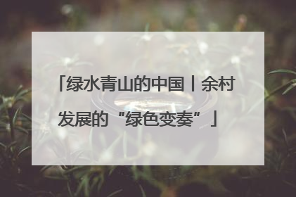 绿水青山的中国丨余村发展的“绿色变奏”