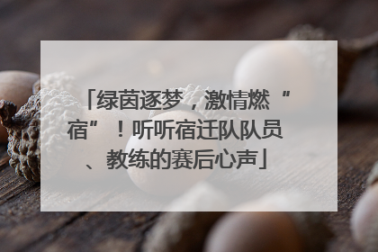 绿茵逐梦，激情燃“宿”！听听宿迁队队员、教练的赛后心声