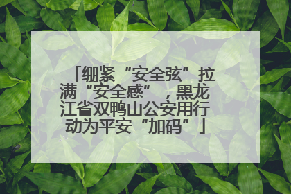 绷紧“安全弦”拉满“安全感”，黑龙江省双鸭山公安用行动为平安“加码”