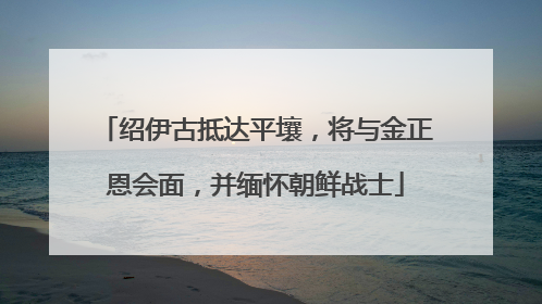 绍伊古抵达平壤，将与金正恩会面，并缅怀朝鲜战士