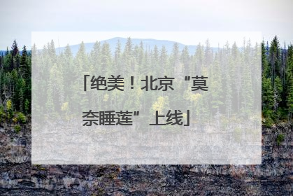 绝美！北京“莫奈睡莲”上线