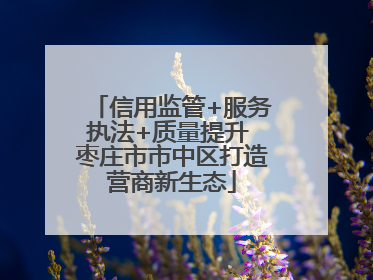 信用监管+服务执法+质量提升 枣庄市市中区打造营商新生态