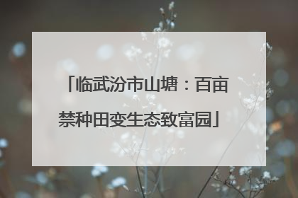 临武汾市山塘：百亩禁种田变生态致富园