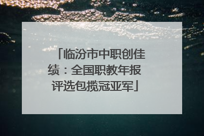 临汾市中职创佳绩：全国职教年报评选包揽冠亚军