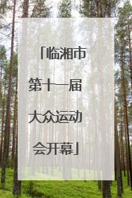 临湘市第十一届大众运动会开幕