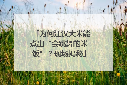 为何江汉大米能煮出“会跳舞的米饭”？现场揭秘