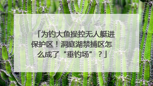 为钓大鱼操控无人艇进保护区！洞庭湖禁捕区怎么成了“垂钓场”？