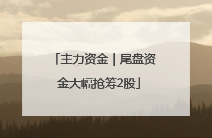 主力资金｜尾盘资金大幅抢筹2股