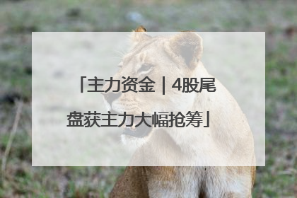 主力资金｜4股尾盘获主力大幅抢筹
