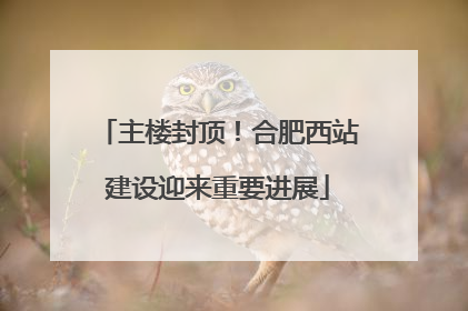 主楼封顶！合肥西站建设迎来重要进展