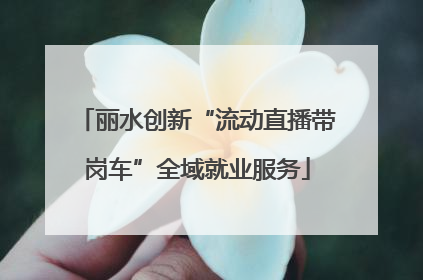 丽水创新“流动直播带岗车”全域就业服务