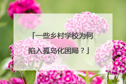一些乡村学校为何陷入孤岛化困局？