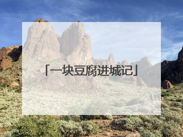 一块豆腐进城记