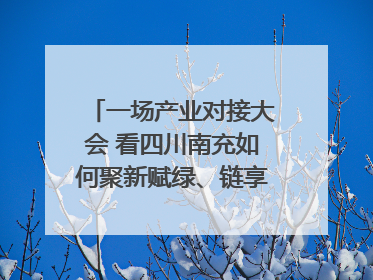 一场产业对接大会 看四川南充如何聚新赋绿、链享未来｜打赢经济发展翻身仗