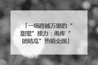 一场跨越万里的“甜蜜”接力：甬库“团结瓜”热销全国