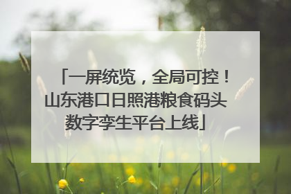 一屏统览，全局可控！山东港口日照港粮食码头数字孪生平台上线