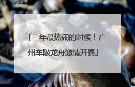 一年最热闹的时候！广州车陂龙舟激情开赛