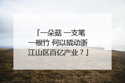 一朵菇 一支笔 一根竹 何以撬动浙江山区百亿产业？