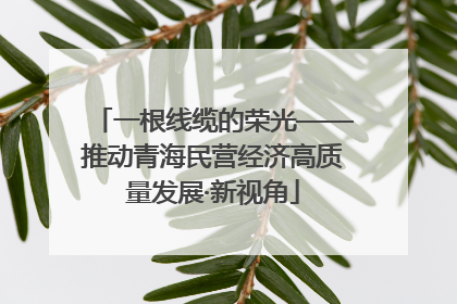 一根线缆的荣光——推动青海民营经济高质量发展·新视角