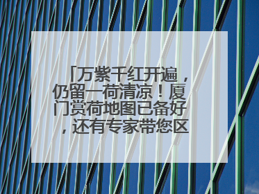 万紫千红开遍，仍留一荷清凉！厦门赏荷地图已备好，还有专家带您区分荷与莲→