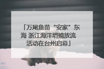 万尾鱼苗“安家”东海 浙江海洋增殖放流活动在台州启幕