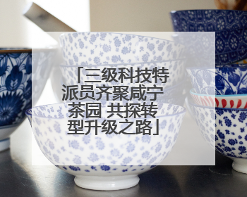 三级科技特派员齐聚咸宁茶园 共探转型升级之路