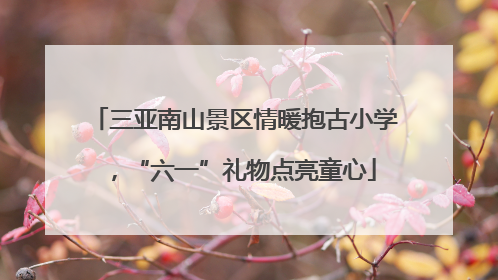 三亚南山景区情暖抱古小学，“六一”礼物点亮童心