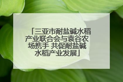 三亚市耐盐碱水稻产业联合会与袁谷农场携手 共促耐盐碱水稻产业发展
