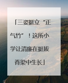 三姿挺立“正气竹”！这所小学让清廉在挺拔脊梁中生长