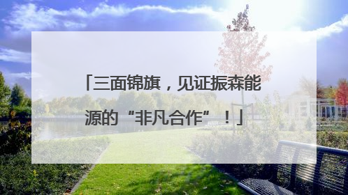 三面锦旗，见证振森能源的“非凡合作”！
