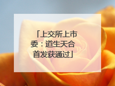 上交所上市委：道生天合首发获通过