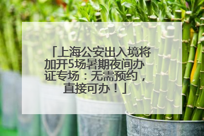 上海公安出入境将加开5场暑期夜间办证专场：无需预约，直接可办！