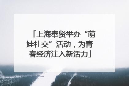 上海奉贤举办“萌娃社交”活动，为青春经济注入新活力