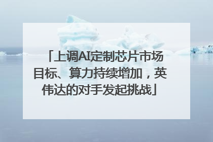 上调AI定制芯片市场目标、算力持续增加，英伟达的对手发起挑战
