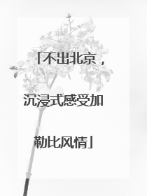 不出北京，沉浸式感受加勒比风情