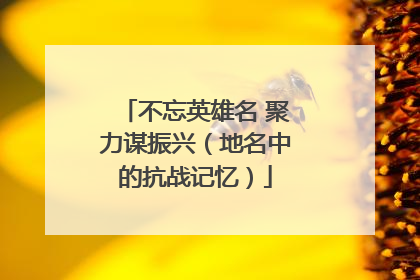 不忘英雄名 聚力谋振兴（地名中的抗战记忆）