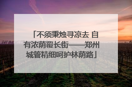 不须秉烛寻凉去 自有浓荫覆长街——郑州城管精细呵护林荫路