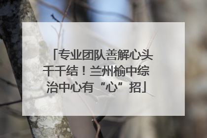 专业团队善解心头千千结！兰州榆中综治中心有“心”招