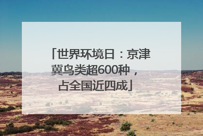 世界环境日：京津冀鸟类超600种，占全国近四成