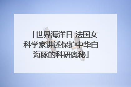 世界海洋日 法国女科学家讲述保护中华白海豚的科研奥秘