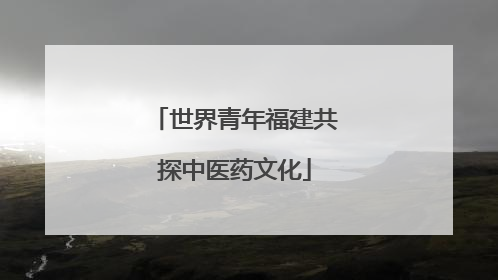 世界青年福建共探中医药文化