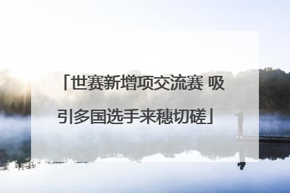 世赛新增项交流赛 吸引多国选手来穗切磋