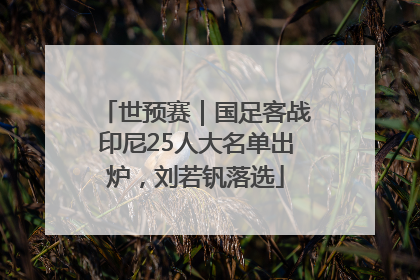 世预赛｜国足客战印尼25人大名单出炉，刘若钒落选